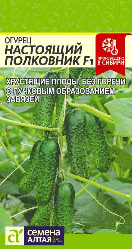 Настоящий полковник цп