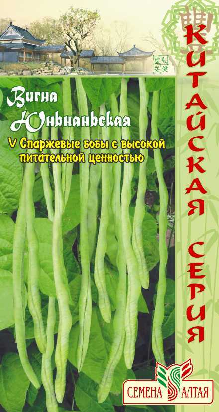 Фасоль вигна