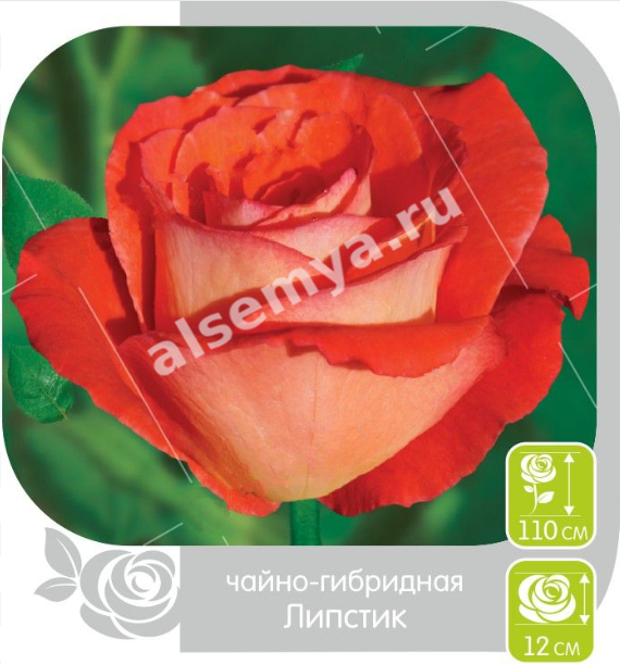 Липстик