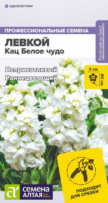 Левкой Кац белое чудо
