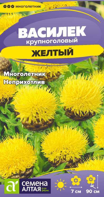 Василек желтый