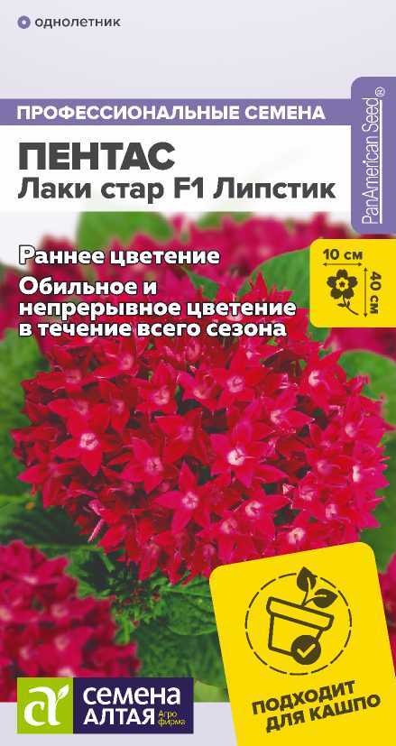 pentas-lipstik