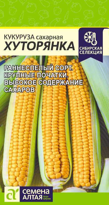Кукуруза Хуторянка