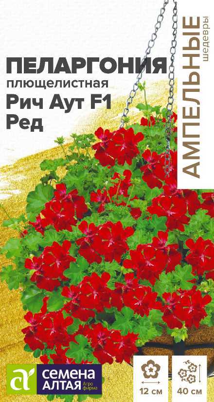 Пеларгония Рич аут ред