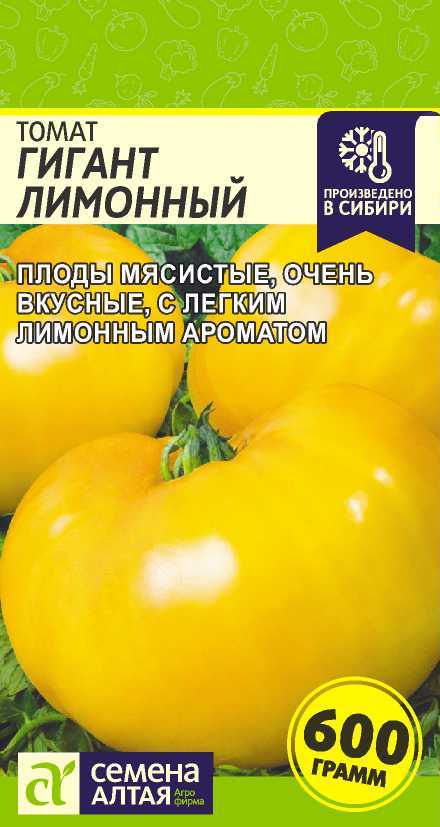 00010015872