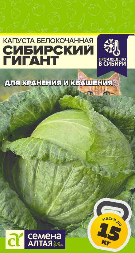 00-00034453