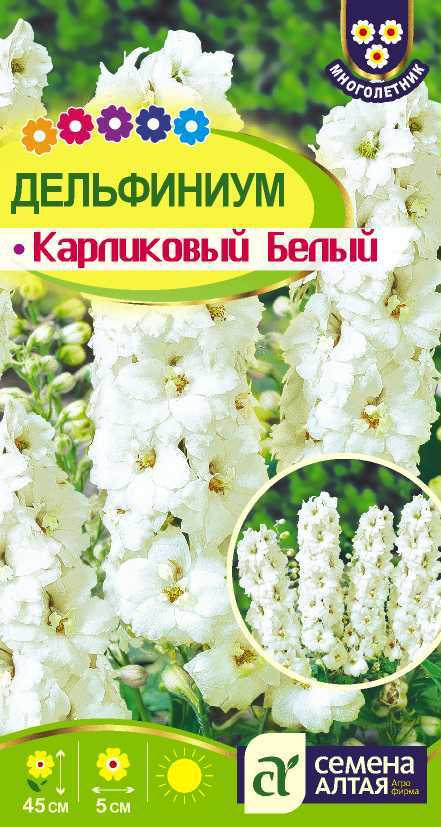 Дельфиниум карликовый белый