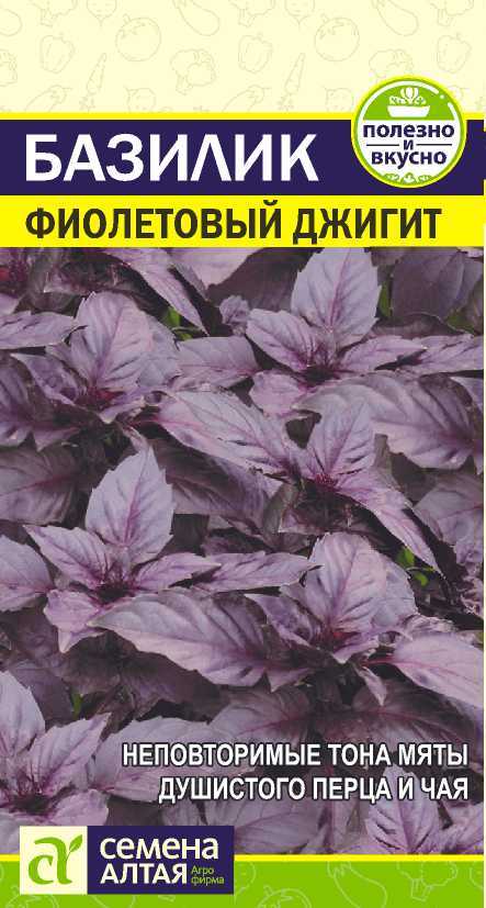 Базилик Фиалетовый джигит