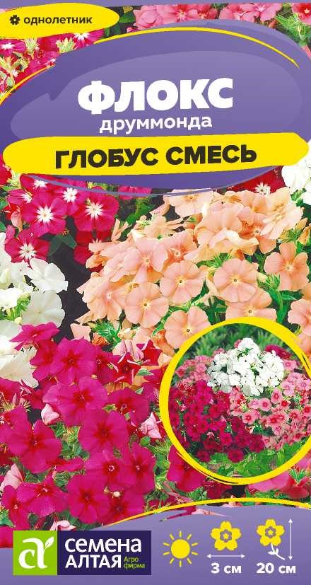 Флокс глобус