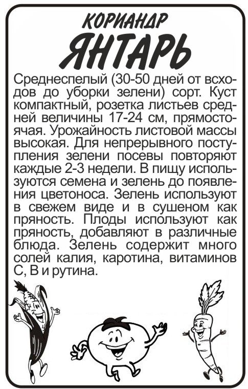 Кориандр Янтарь (Кинза) бп