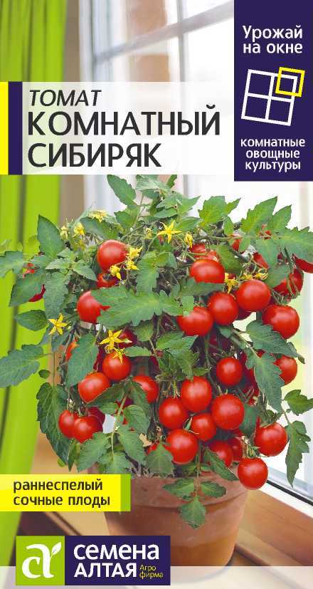 Комнатный сибиряк