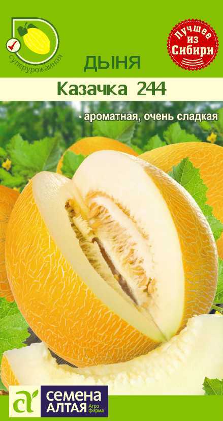Казачка 244 цп