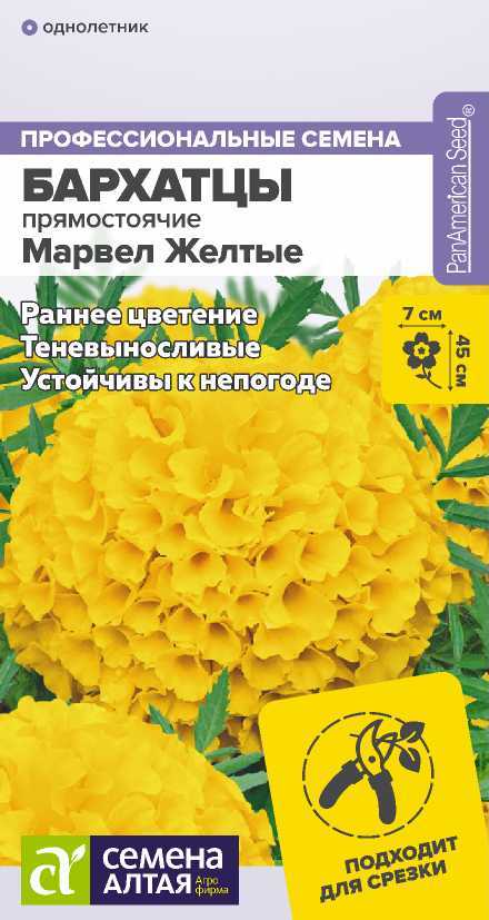 00-00020084