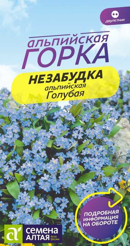 Незабудка голубая альпийская