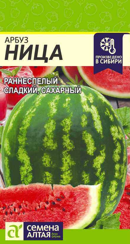 Ница 2