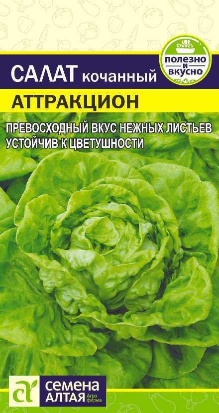 Салат Аттракцион цп2