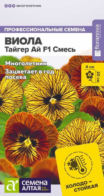 Виола Тайгер Ай