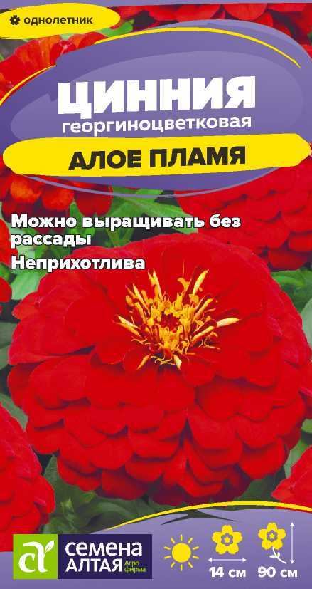 Цинния алое пламя