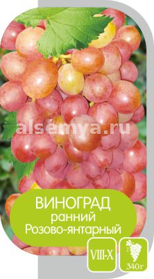 Янтарно-розовый2