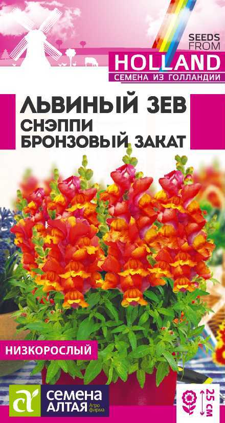 Снэпп бронзовый