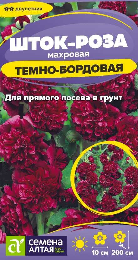 00010031432