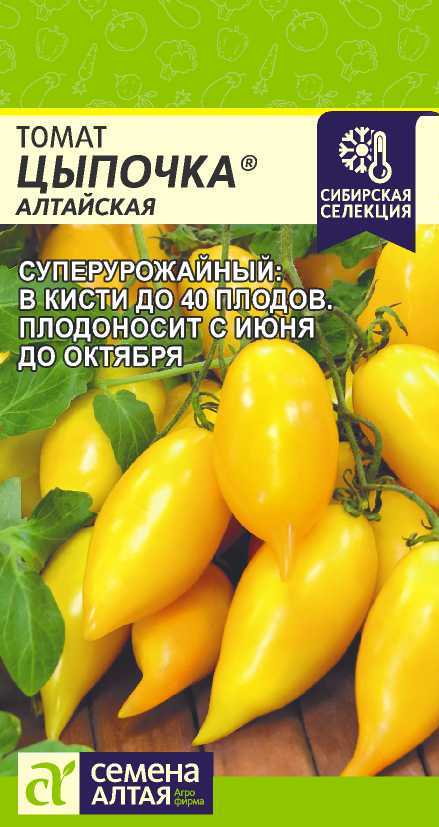 00-00031337