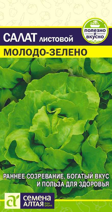 Салат Молодо-зелено цп2