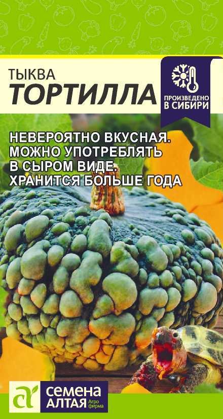 Тортилла