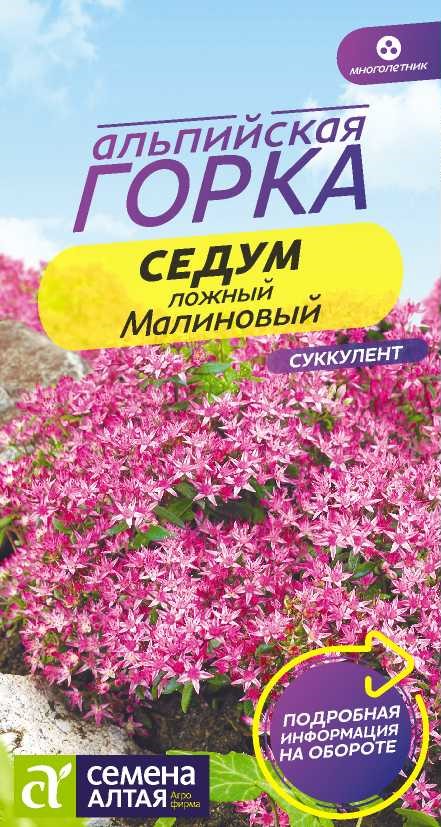 Седум малиновый 2