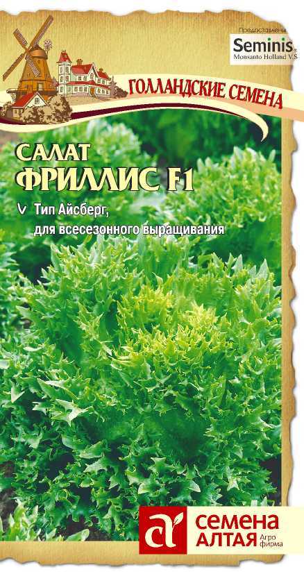 Салат Фриллис