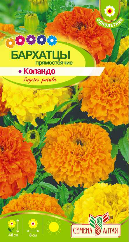 Коландо