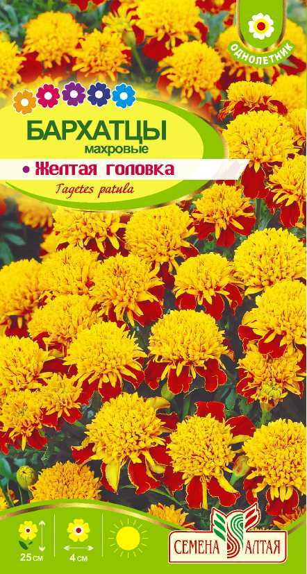 Желтая головка цп