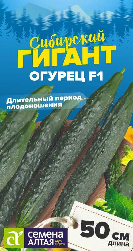 00-00025988