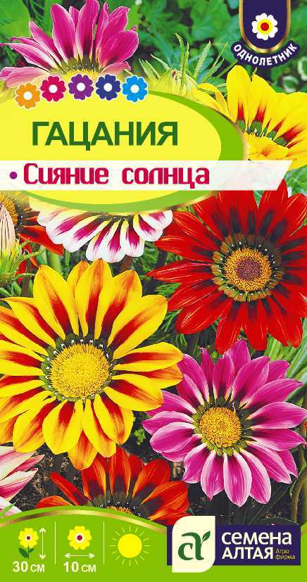 Гацания сияние солнца цп