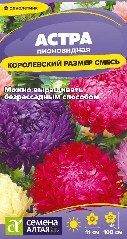 Астра Корол.размер смесь