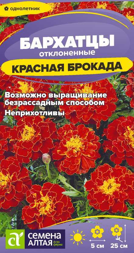 Бархатцы красная брокада