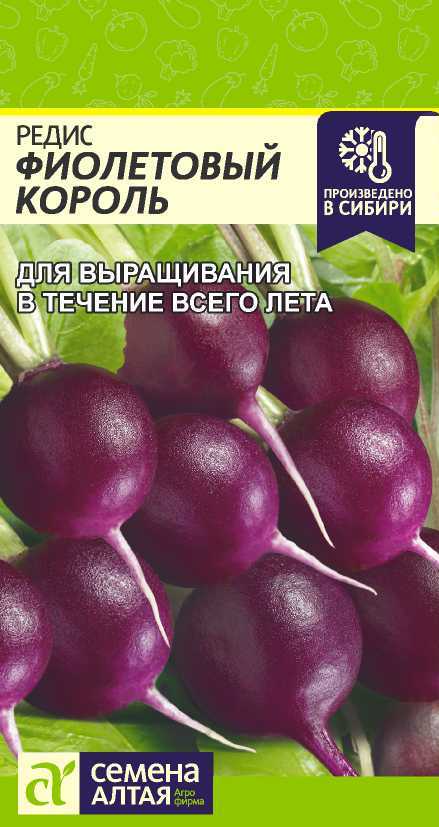 Редис фиолетовый король