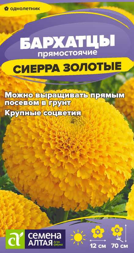 00-00034006
