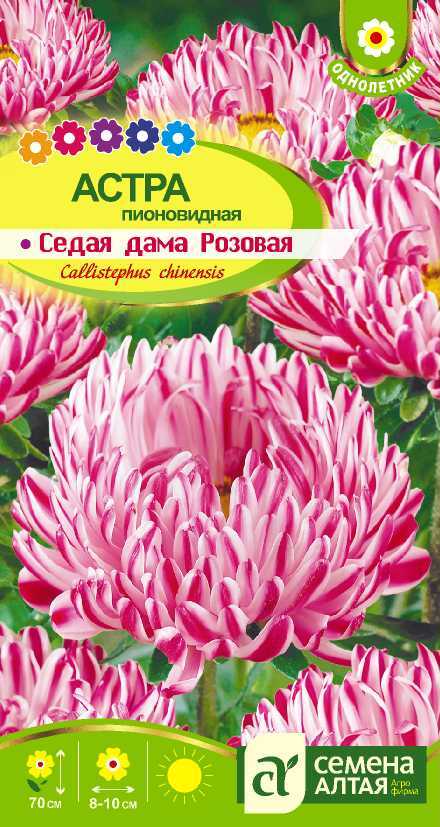Седая дама розовая цп