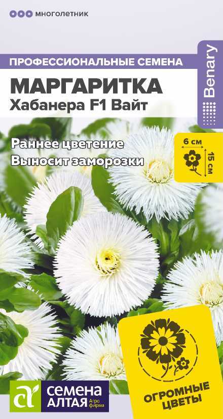 margaritka-habanera-white