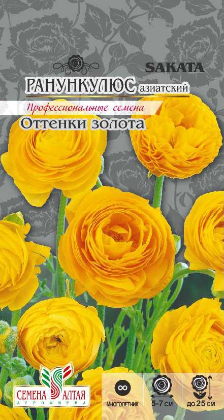 Ранункулюс золото