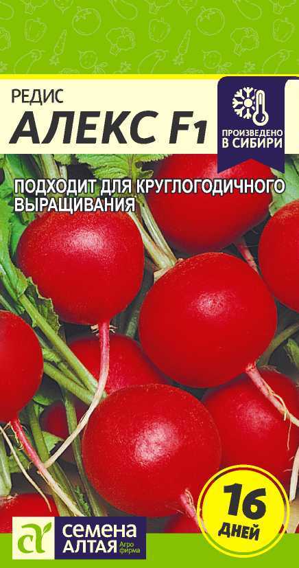 Алекс цп