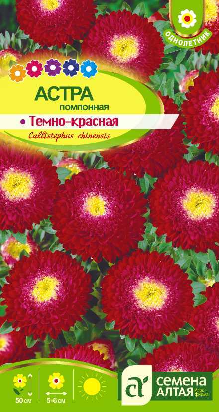 Темно-красная помпонная цп