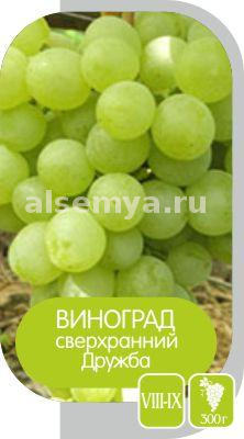 Дружба2