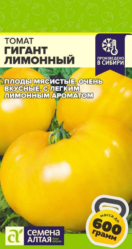 00010015872