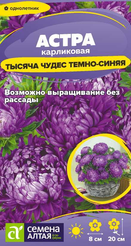 00-00034337