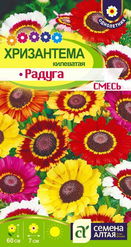 Радуга
