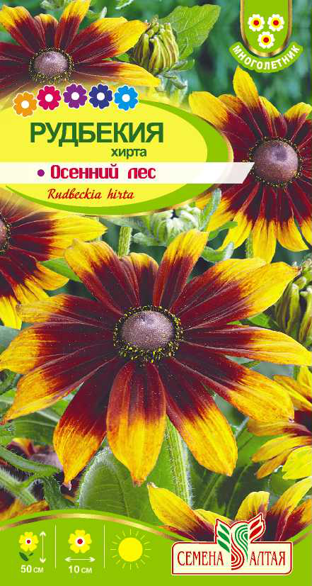 Рудбекия осенний лес