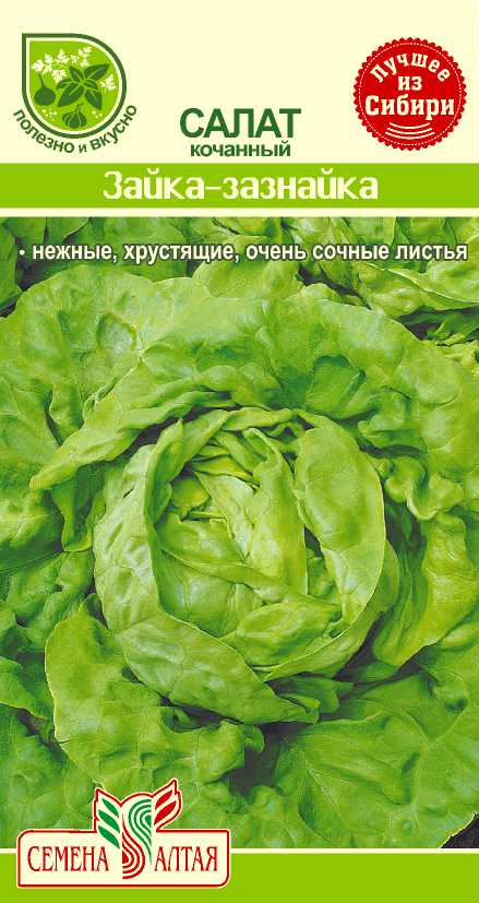 Зайка зазнайка