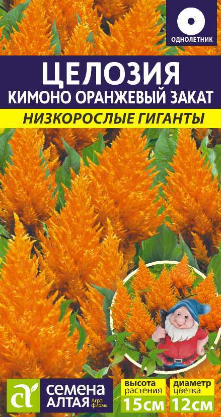 Кимоно оранжевый заказ